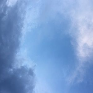 Meet your Posher, Alexandra